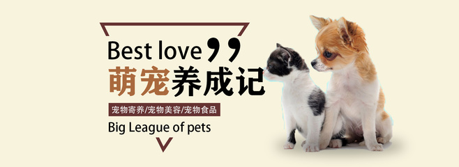 长风渡深度解读
